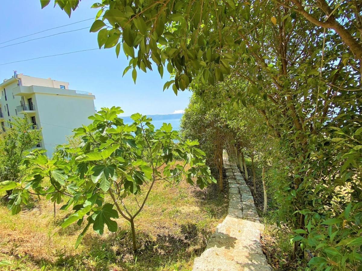 Ramo'S Cozy Beachside Haven With Panoramic Views - 1St Vlora Kültér fotó